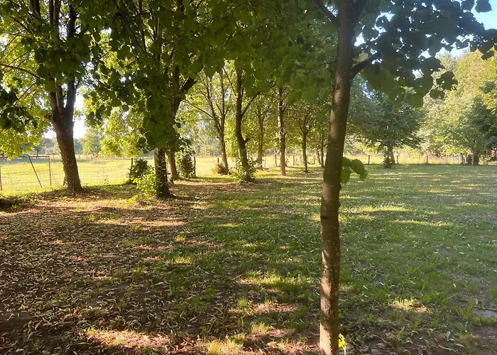 La Bechetiere * Parce-sur-Sarthe